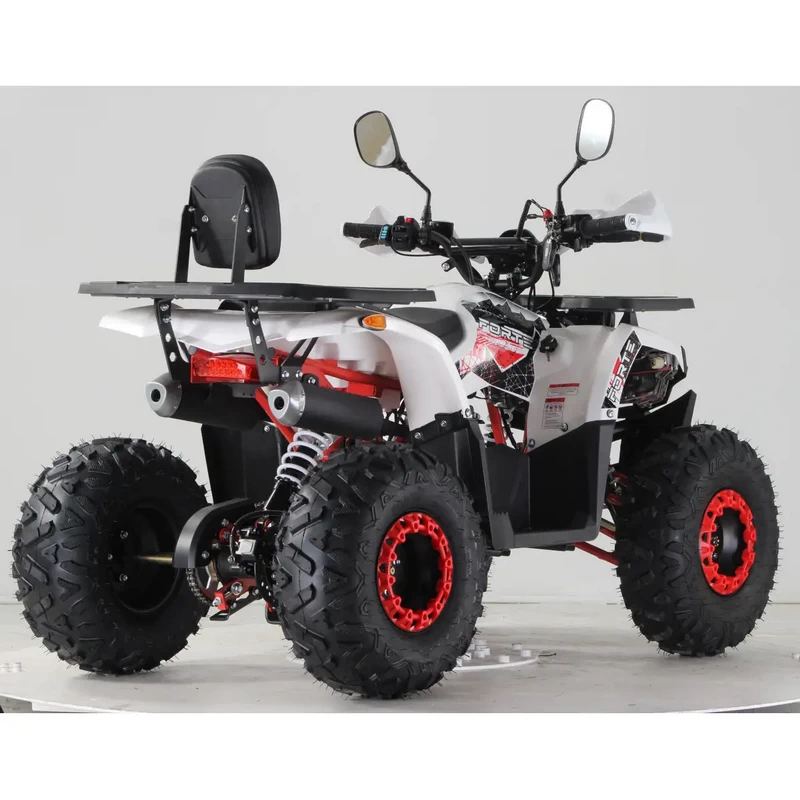 Квадроцикл FORTE ATV125F - Зображення 14